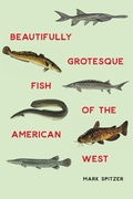 Cover: Beautifully Grotesque Fish of the American West - University of Nebraska Press