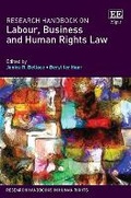 Cover: Research Handbook on Labour, Business and Human Rights Law - Edward Elgar Publishing