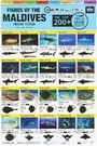 Cover: Maldives Fish Field Guide "Top 200+" - Atoll Editions