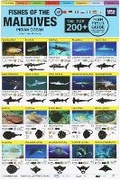 Cover: Maldives Fish Field Guide "Top 200+" - Atoll Editions