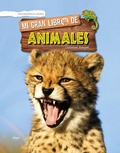 Cover: Mi Gran Libro de Animales - ALGAR EDITORIAL