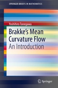 Bild: Brakke's Mean Curvature Flow - Springer