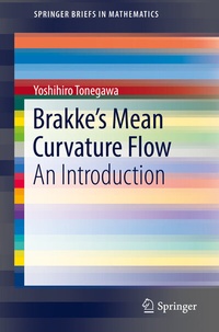 Abbildung von: Brakke's Mean Curvature Flow - Springer