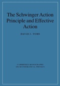 Cover: The Schwinger Action Principle and Effective Action - Cambridge University Press