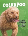 Cover: Cockapoo - Raintree