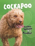 Cover: Cockapoo - Raintree