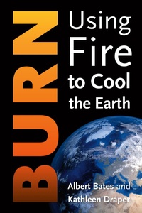 Enlarge image Cover: Burn - Rizzoli