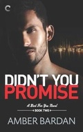 Cover: Didn't You Promise - Carina Press