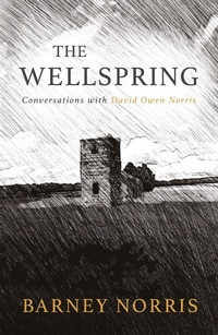 Enlarge image Cover: The Wellspring - Seren
