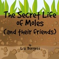 Cover: Secret Life of Moles and Their Friends - Clink Street Publishing