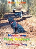 Cover: Neues von Tipsy Dreibein - Zwiebelzwerg