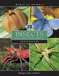 Enlarge image Cover: World of Animals, Set 3: Insects and Other Invertebrates - Grolier, Inc.