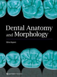 Abbildung von: Dental Anatomy and Morphology - Quintessence Publishing Co Inc.,U.S.