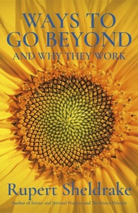 Enlarge image Cover: Ways to Go Beyond and Why They Work - Coronet Books