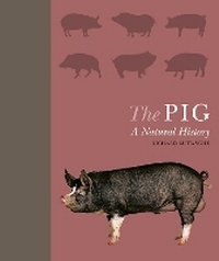 Abbildung von: The Pig - Ivy Press