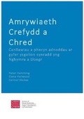 Cover: Amrywiaeth Crefydd a Chred Canllawiau a phecyn adnoddau ar gyfer ysgolion cynradd yng Nghymru a Lloegr - Cardiff University School of Social Sciences