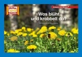 Cover: Was bl&uuml;ht und krabbelt da? / Kamishibai Bildkarten - Hase und Igel Verlag