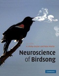 Cover: Neuroscience of Birdsong - Cambridge University Press