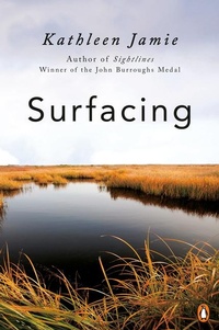 Abbildung von: Surfacing - Penguin USA