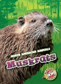Cover: Muskrats - Blastoff! Readers