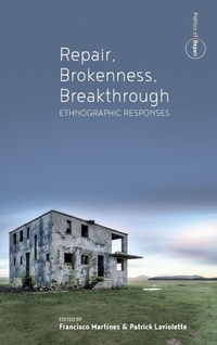 Enlarge image Cover: Repair, Brokenness, Breakthrough - Berghahn Books