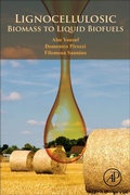 Cover: Lignocellulosic Biomass to Liquid Biofuels - Academic Press