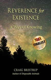 Enlarge image Cover: Reverence for Existence - Camino Bay Books
