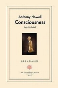 Enlarge image Cover: Consciousness - Odd Volumes