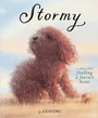 Cover: Stormy - Schwartz & Wade