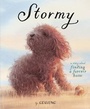 Cover: Stormy - Schwartz & Wade