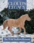 Cover: Cloud's Legacy - Companion House