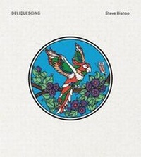 Enlarge image Cover: Deliquescing - Sternberg Press