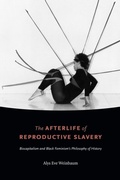 Cover: The Afterlife of Reproductive Slavery - De Gruyter