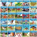 Cover: Spanish Early Rising Readers - Newmark Learning