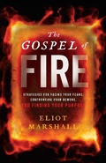 Cover: Gospel of Fire - Lioncrest Publishing