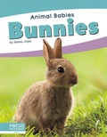 Cover: Bunnies - Focus Readers