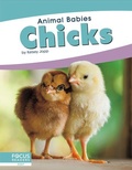 Cover: Chicks - Focus Readers