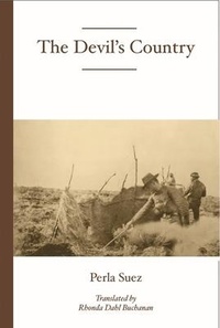 Enlarge image Cover: The Devil's Country - White Pine Press