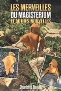 Cover: Les Merveilles Du Magisterium Et Autres Nouvelles - Afnil