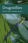 Cover: Dragonflies - Collins