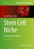 Bild: Stem Cell Niche - Humana