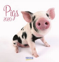 Abbildung von: Pigs 2020 - Korsch Verlag