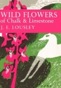 Abbildung von: Wild Flowers of Chalk and Limestone - Collins