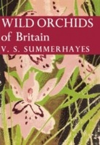Abbildung von: Wild Orchids of Britain - Collins