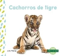 Abbildung von: Cachorros de tigre (Tiger Cubs) - North Star Editions