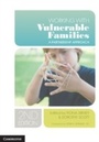 Cover: Working with Vulnerable Families - Cambridge University Press