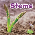 Cover: Stems - Pebble Books
