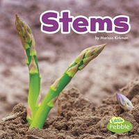 Enlarge image Cover: Stems - Pebble Books