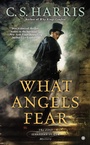 Cover: What Angels Fear - Berkley