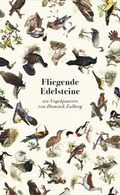 Cover: Fliegende Edelsteine - Dominik Eulberg